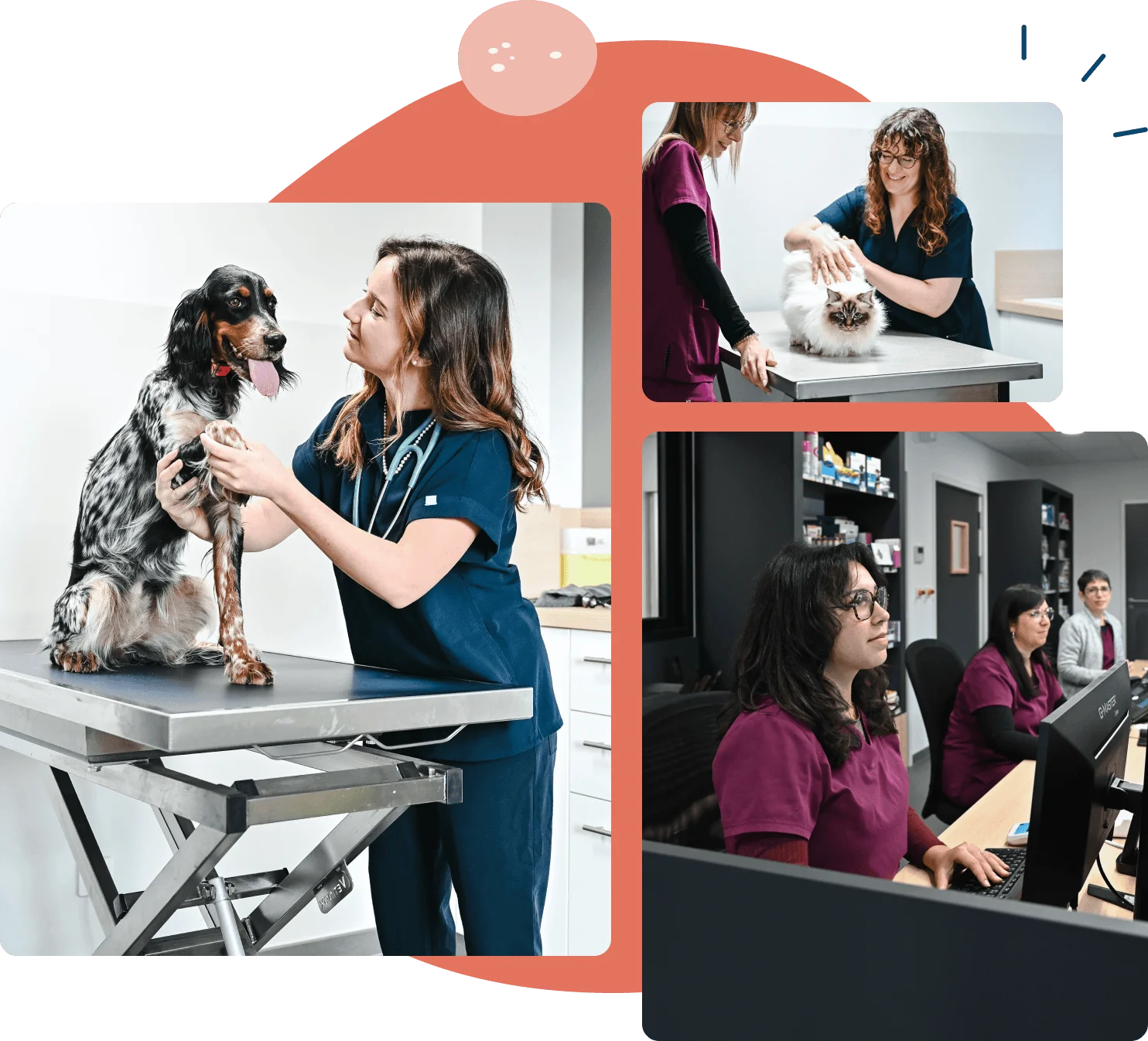 Contact Clinique vétérinaire de l'Héritan